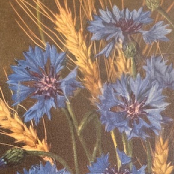 Happy Poshing! - Picture 13 of 16